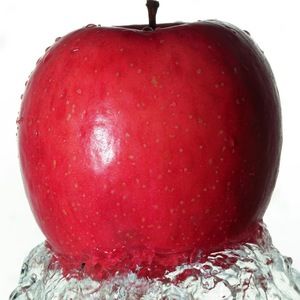 Meet your Posher, Tyree